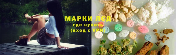 прущие грибы Богородицк