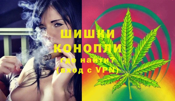 прущие грибы Богородицк