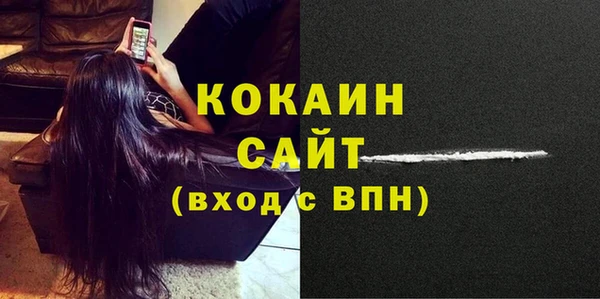 прущие грибы Богородицк