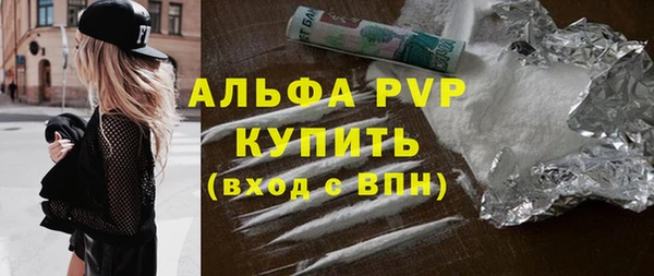 прущие грибы Богородицк
