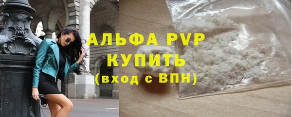СК Богородск