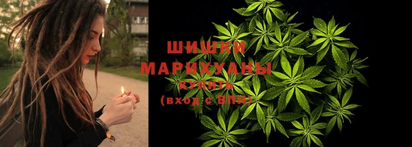 СК Богородск