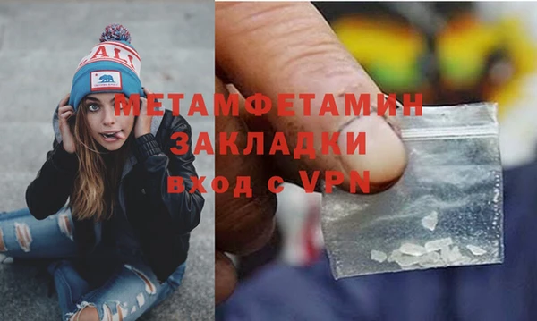 прущие грибы Богородицк